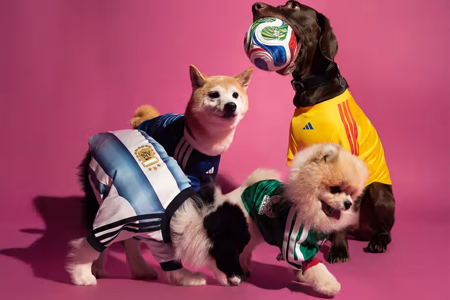 The Dog Is Now Part of the Matchday Lineup