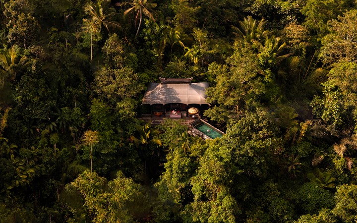Capella Ubud: When Luxury Disappears Into the Jungle