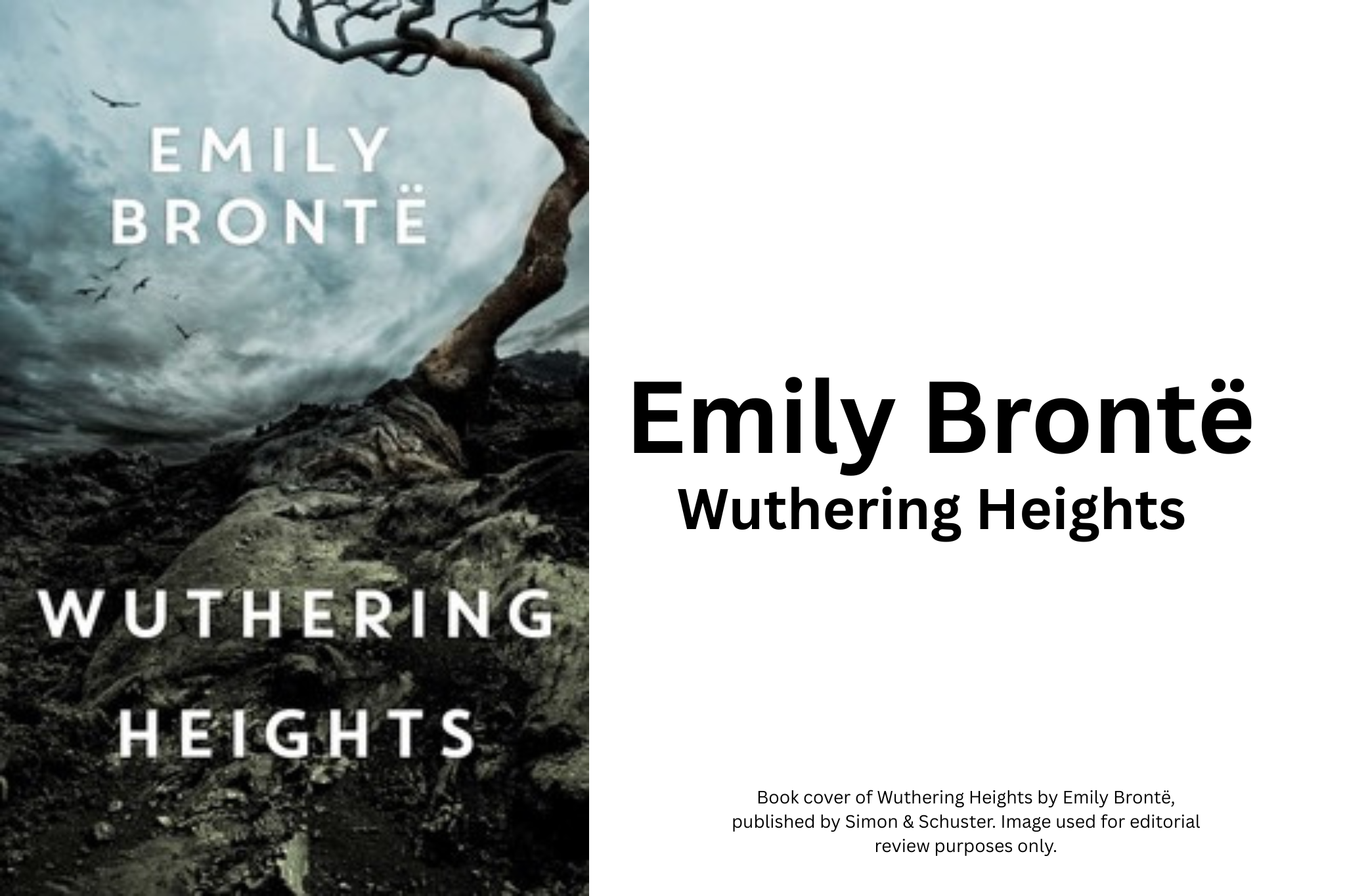 Love, Obsession, and the Search for Belonging in Wuthering Heights
