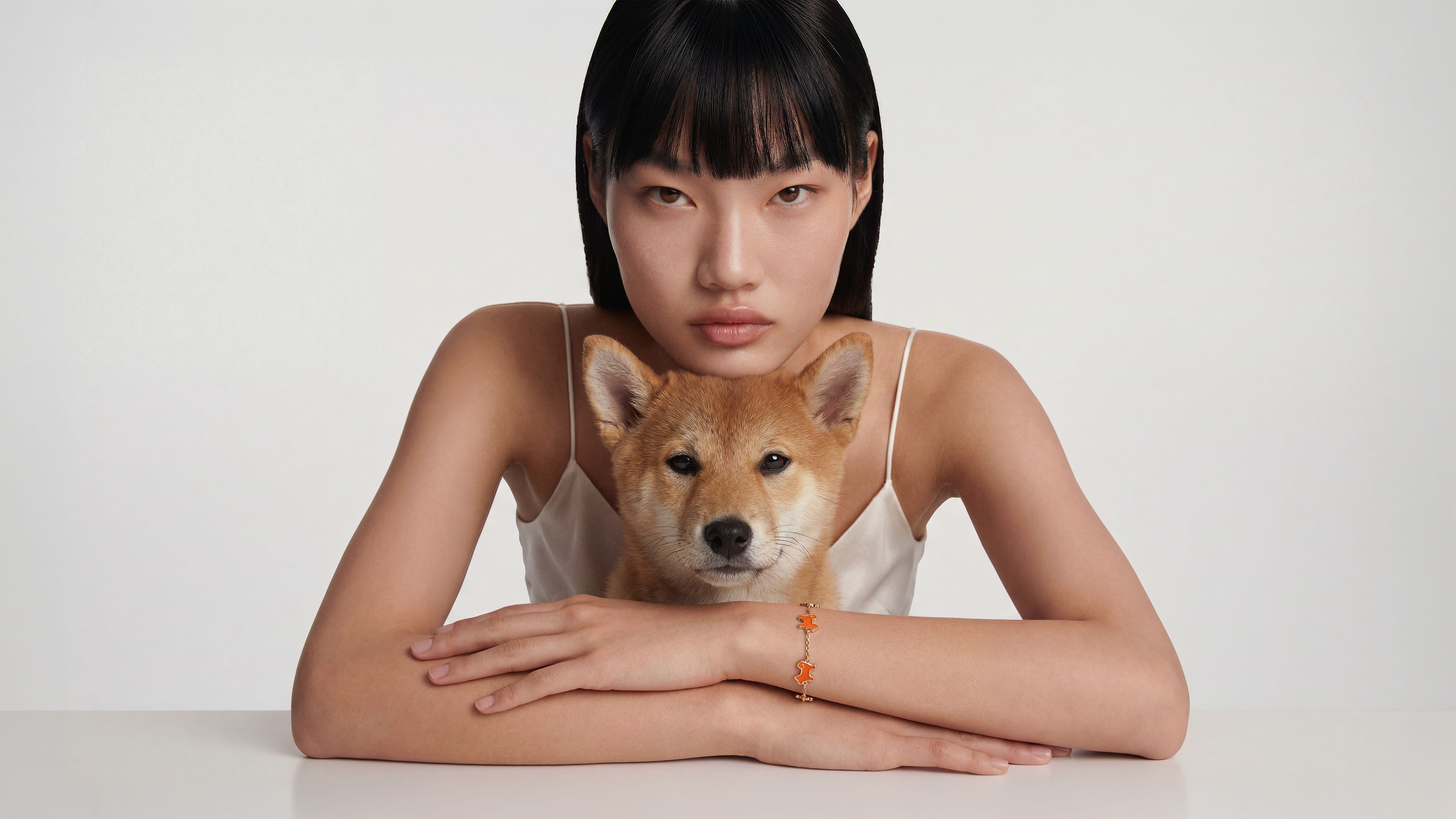 SHIBA & CO