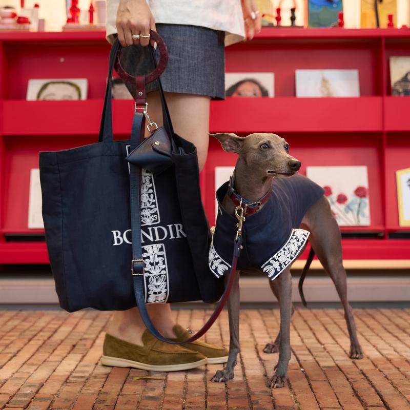 BONDIR: Tailoring a New Language for Pet Fashion