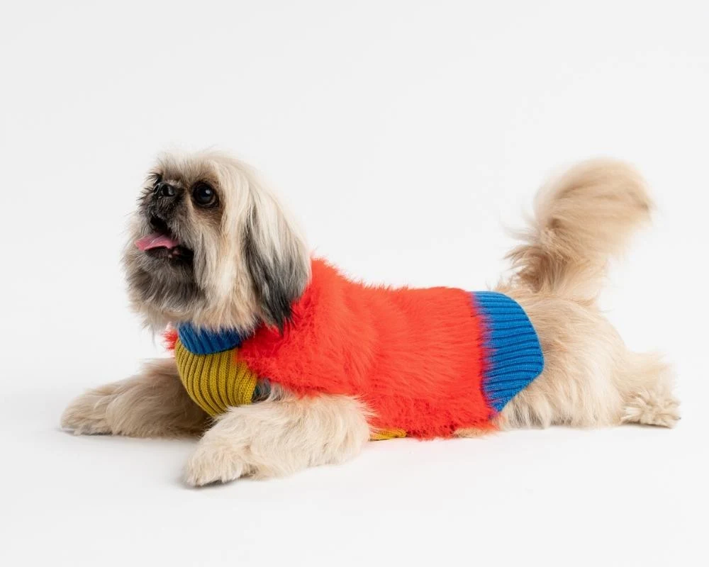 VERLOOP: A Colorful Take on Canine Knitwear